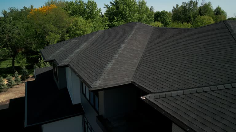 Best Roof Moss and Algae Removal  in Bolivar, TN