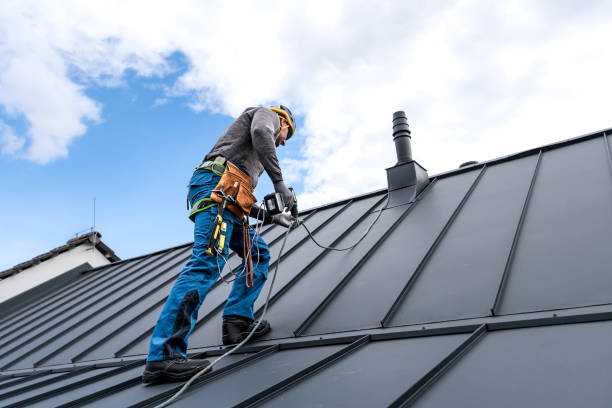 Best Metal Roofing Installation  in Bolivar, TN